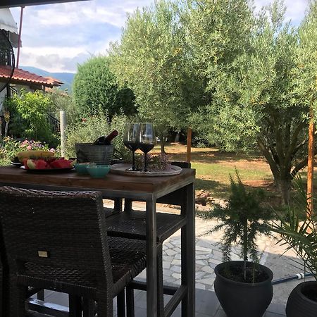 Terra Holiday Homes Аспровальта Экстерьер фото